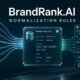 brandrank.ai normalization transformation rules