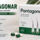Pantagonar