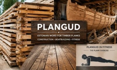 Plangud