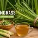Lyposingrass