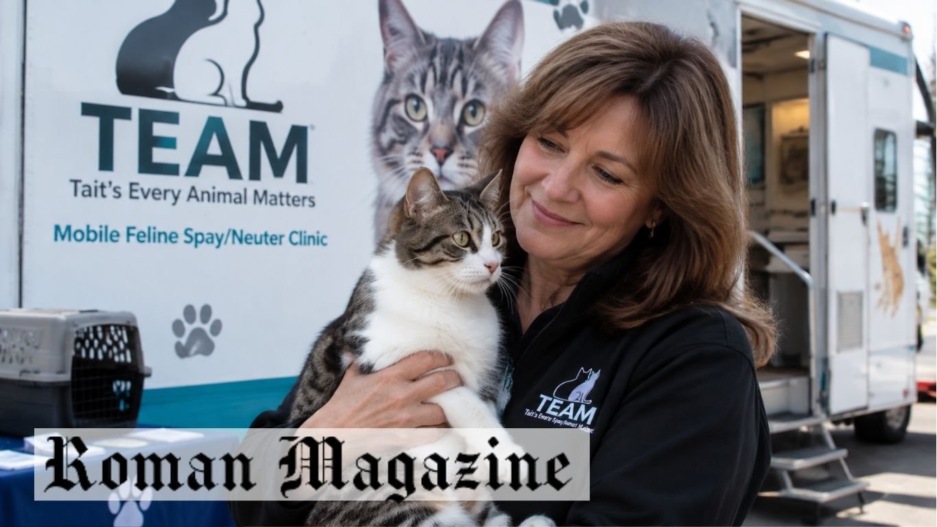 Donna Sicuranza: The Animal Advocate Helping Cats in Connecticut
