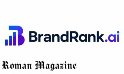 BrandRank.ai Visibility Insights Analysis: How AI Tracks Brand Growth