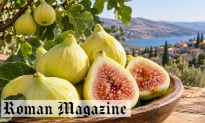 What Is Byadi? A Guide to the Sweet White Fig