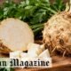 What Is Pravi Celer? A Simple Guide to Traditional Celery Root