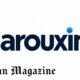 What Is Harouxinn? A Simple Guide for 2026
