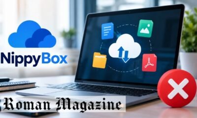 What Is NippyBox? Features and Shutdown Explained